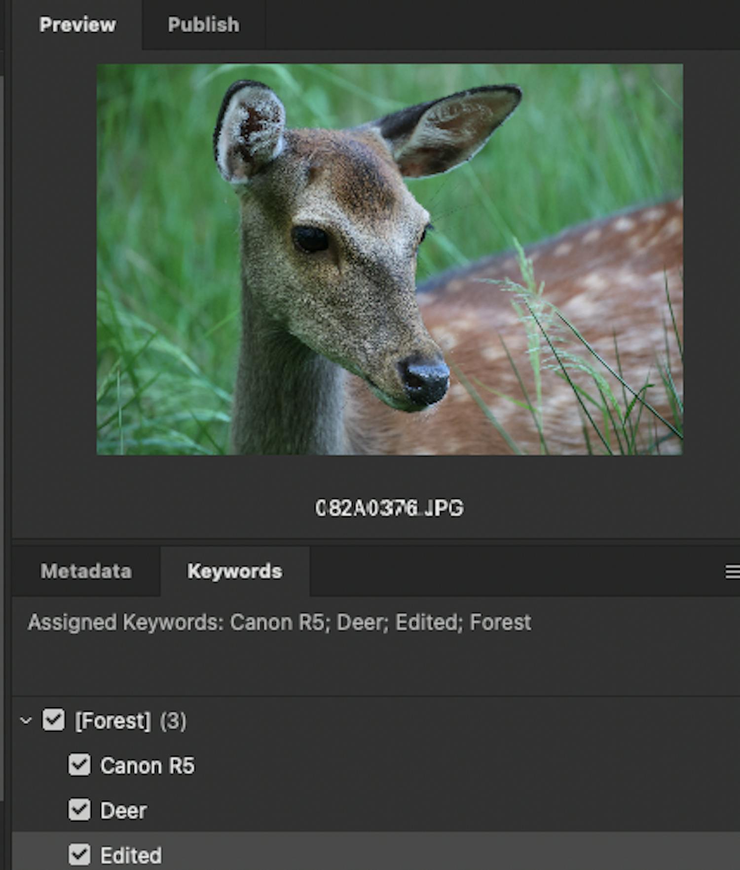 screenshot 2022 08 24 at 13 14 05